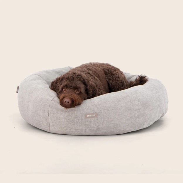 Winter Bed