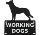 Working Dogs Square Transparent